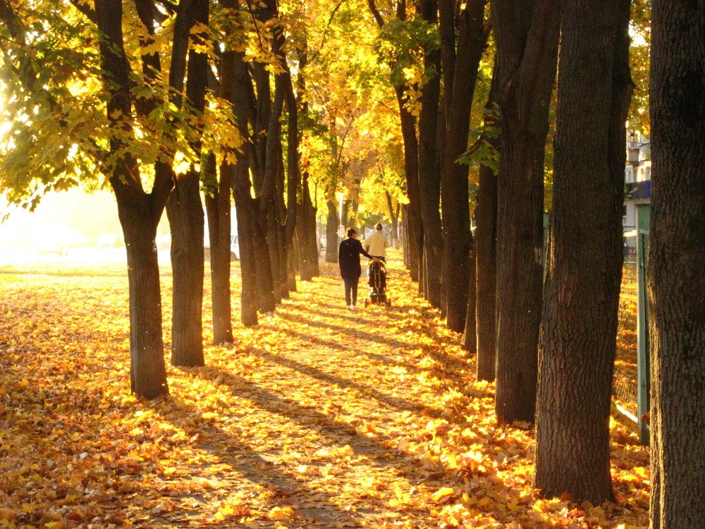 Photograph by Родосская Нонна