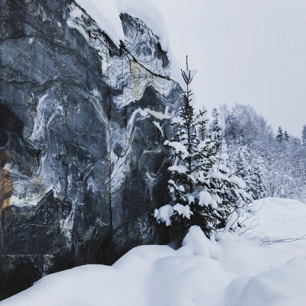 Photo #3571239