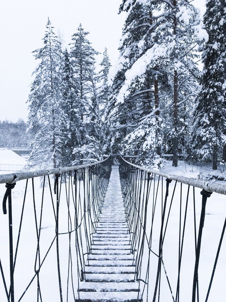 Photo #3571240