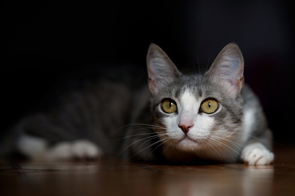 За секунду до...