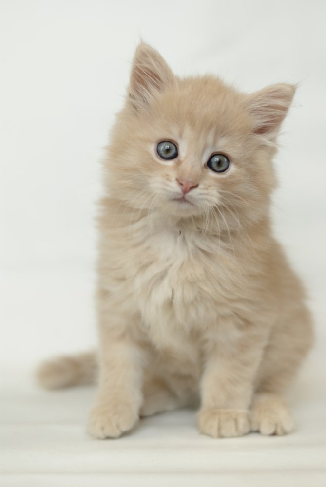 Photograph by Анна Городничева