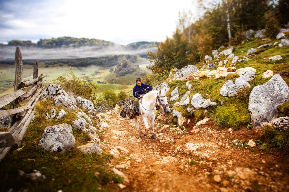 Photograph by Dumitru Ana