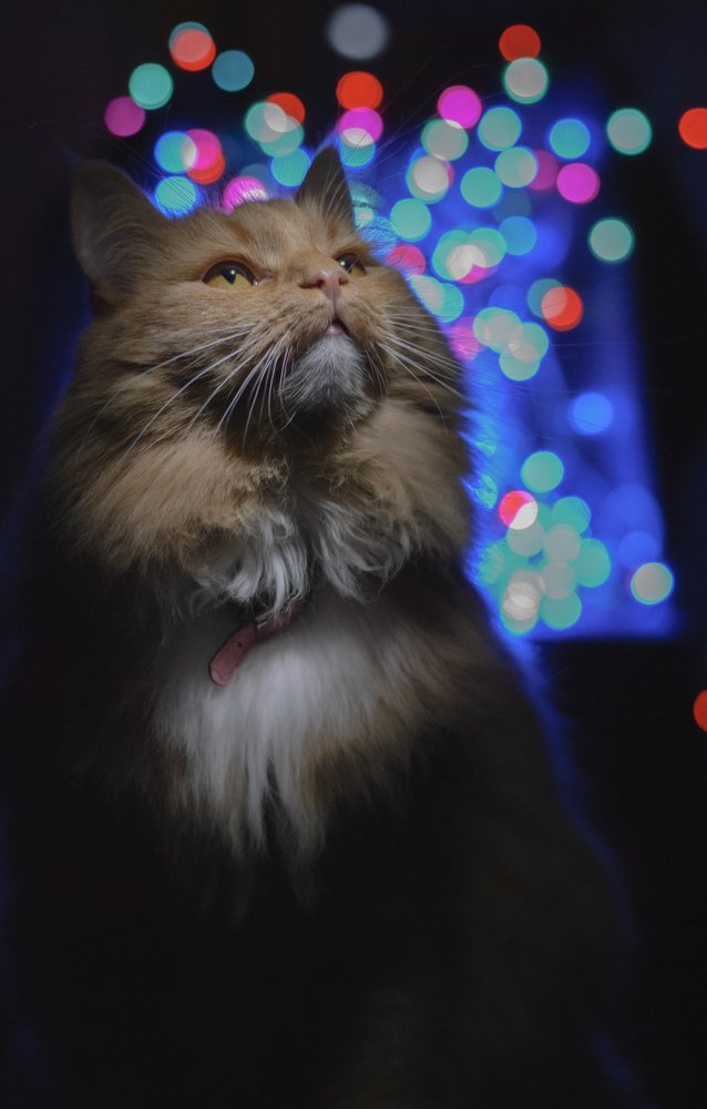 Photograph by Анна Городничева