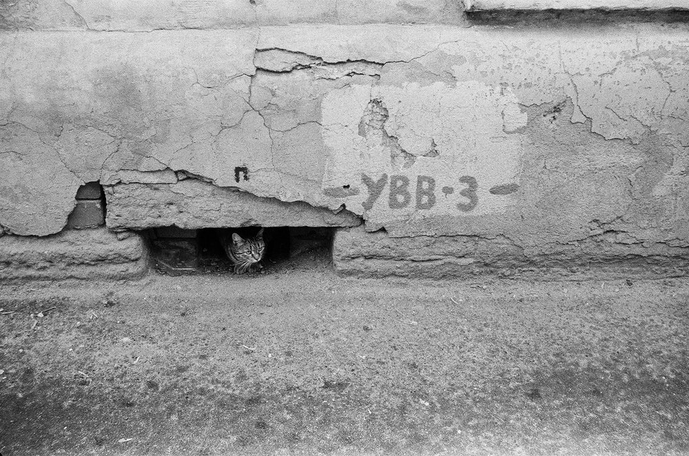 Photograph by Денис Петров