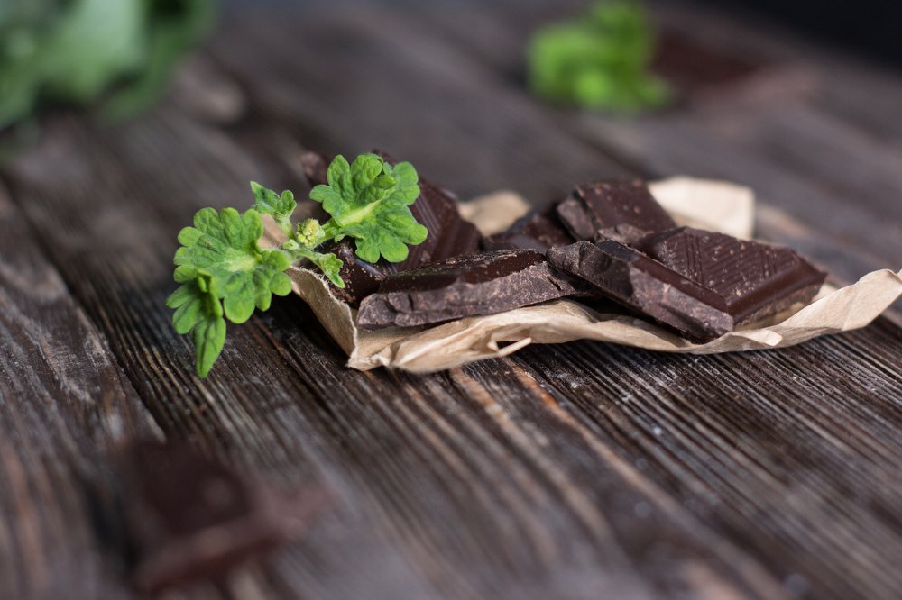 Photograph by Натали Чалык