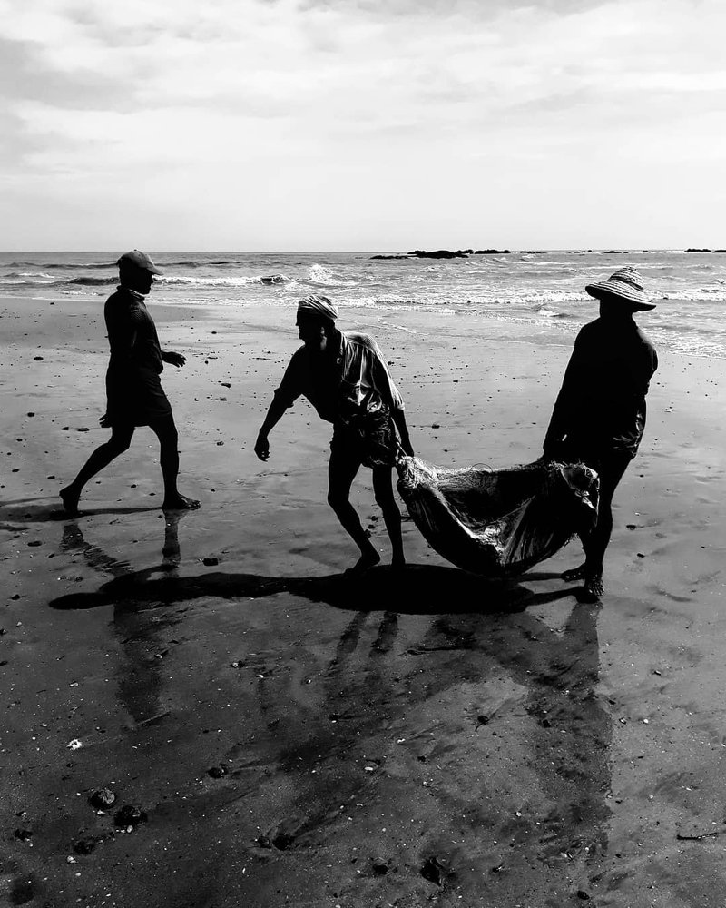 Photograph by Mohammed nizwan k Niz