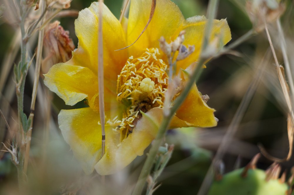 Photograph by Натали Чалык