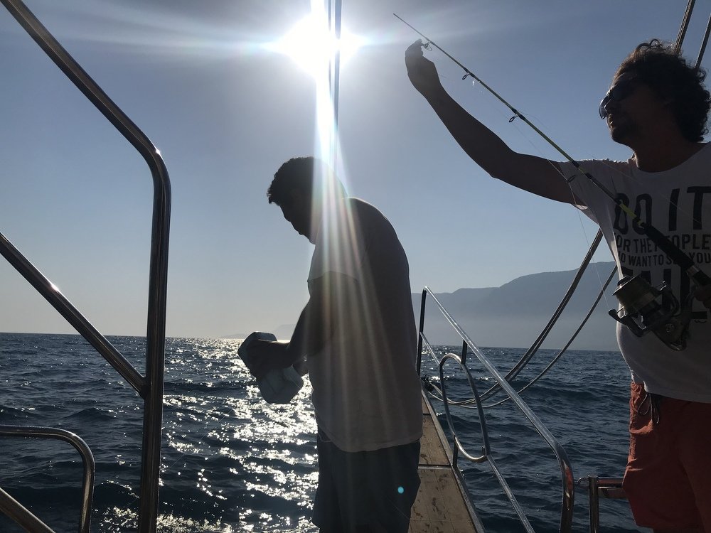 Фотография автора alireza Navid M,G.