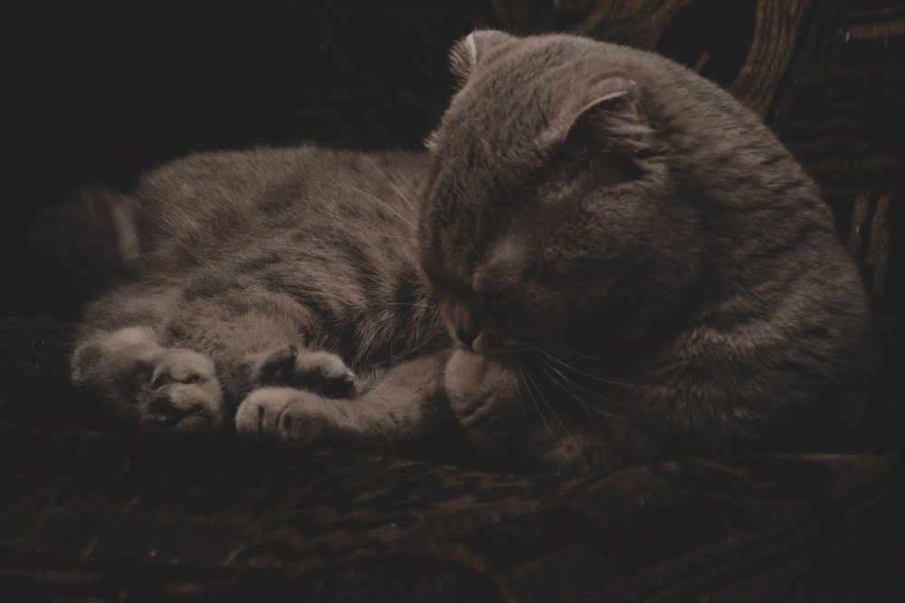 Photograph by Денис Алакин