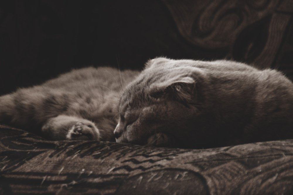 Photograph by Денис Алакин