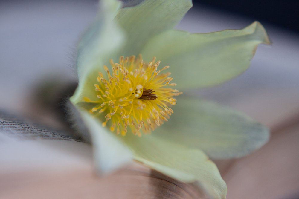 Photograph by Натали Чалык