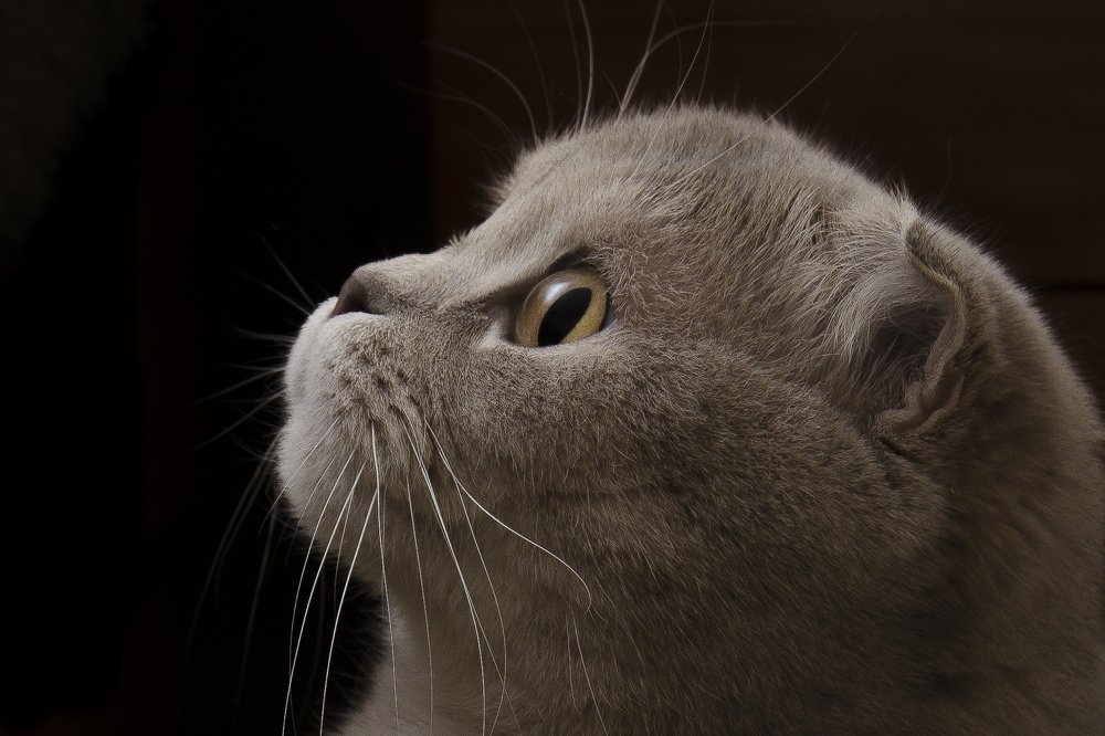 Photograph by Денис Алакин