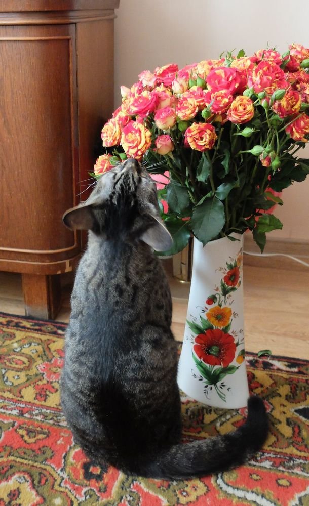 Photograph by Ираида Стародубцева