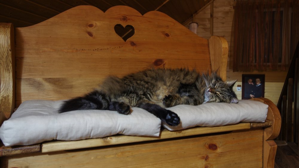 Жизнь удалась!