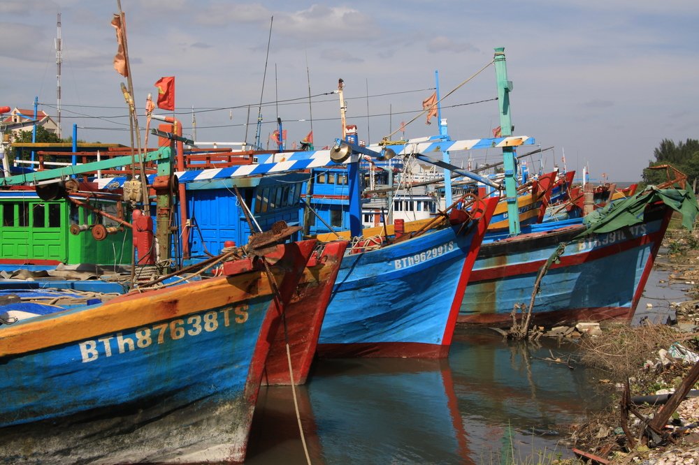 Photograph by Натали Чалык