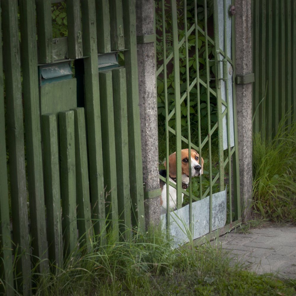 Photograph by Климович Евгений