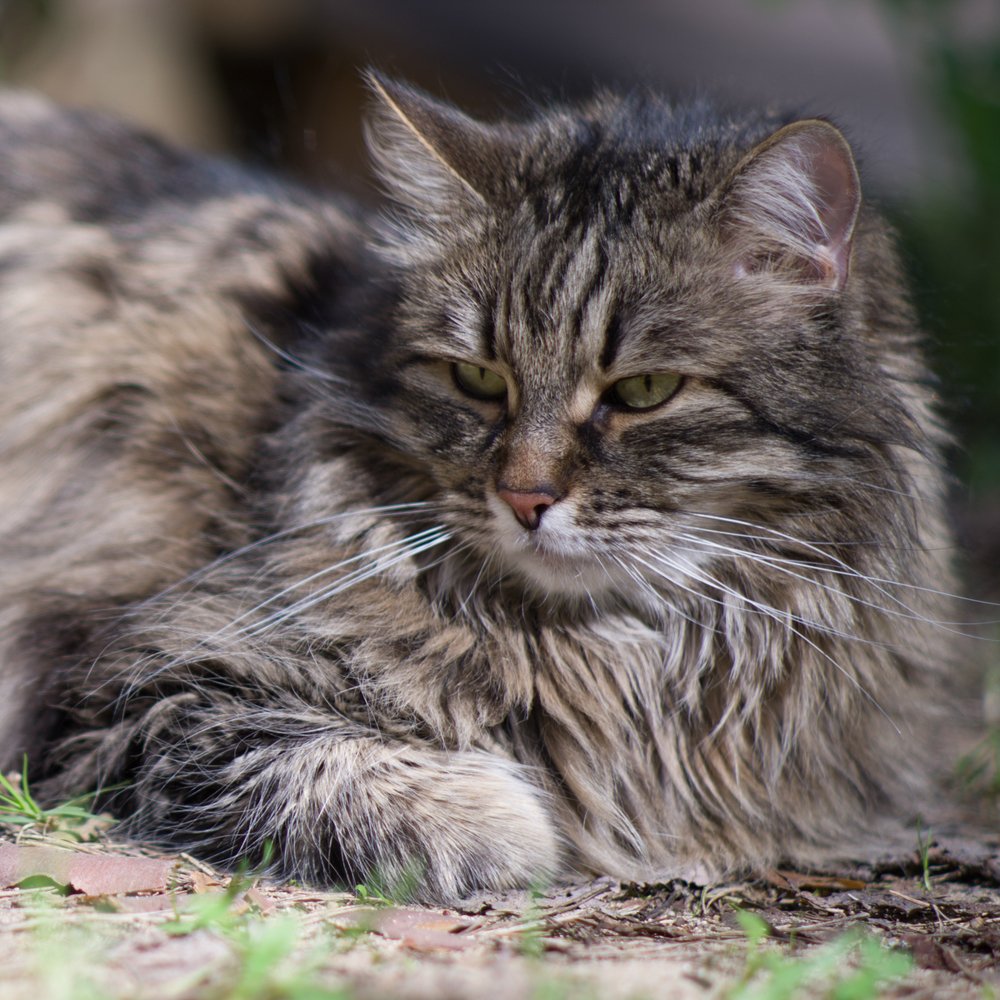 Отдыхаем, господа...