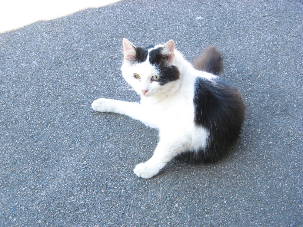 Photograph by Родосская Нонна