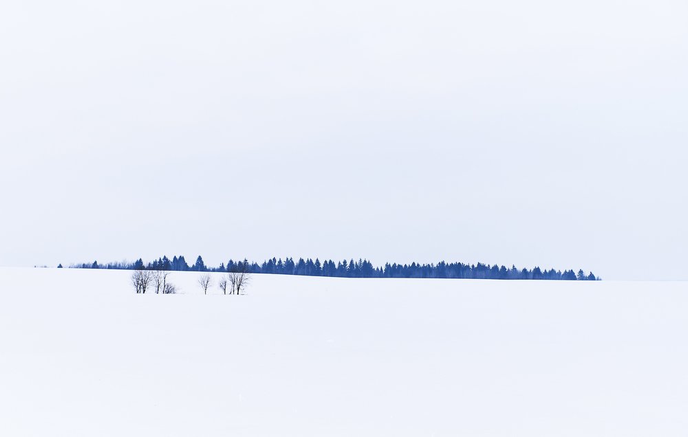 Photograph by Екатерина Коломыцева