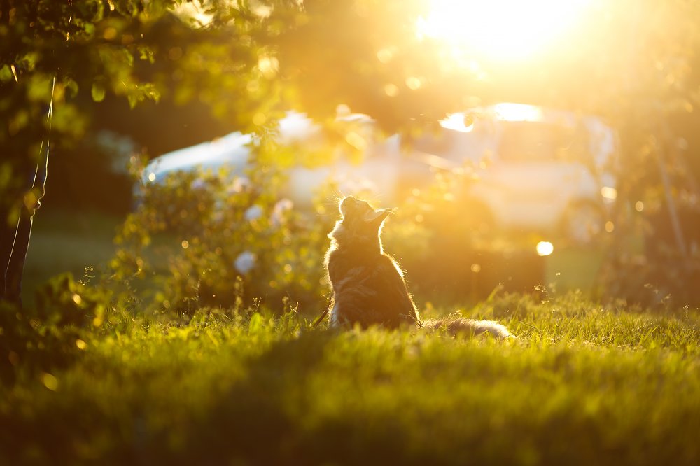 Photograph by Renate Tompsone