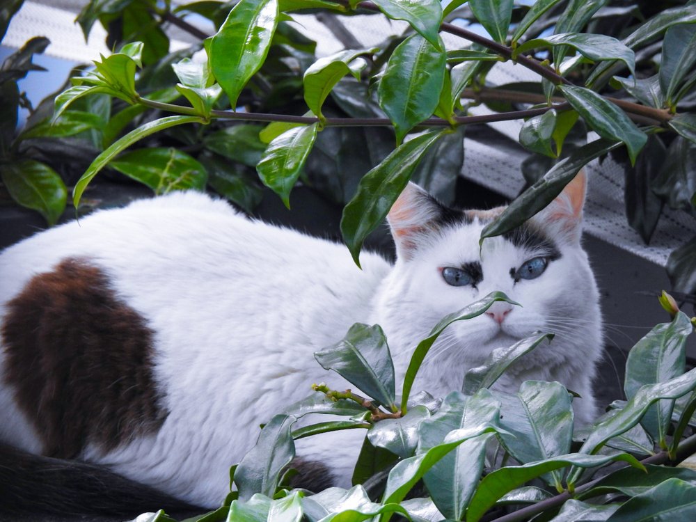 Photograph by Lia Pereira