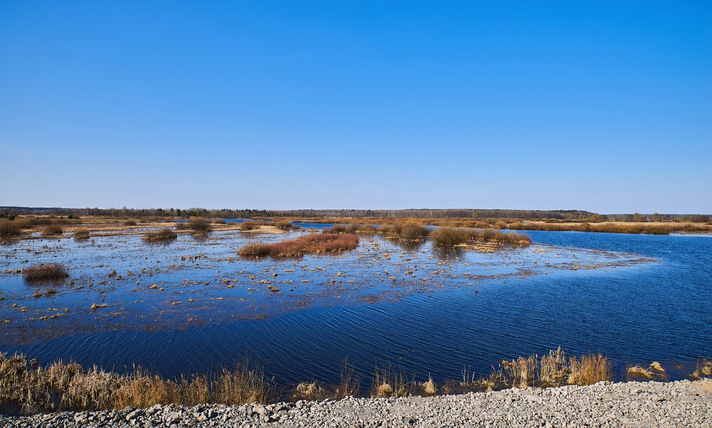 Photograph by Екатерина Коломыцева