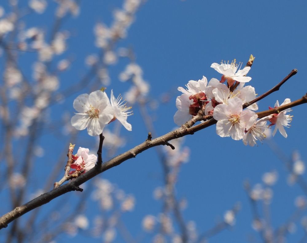 Photograph by Ираида Стародубцева