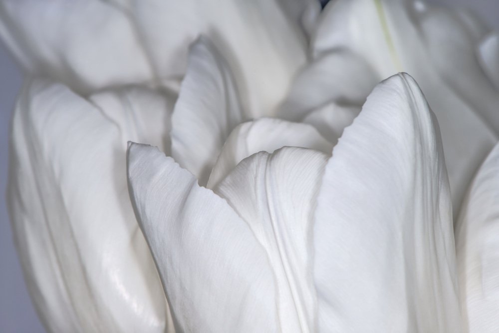 Photograph by Rimma Volchenko