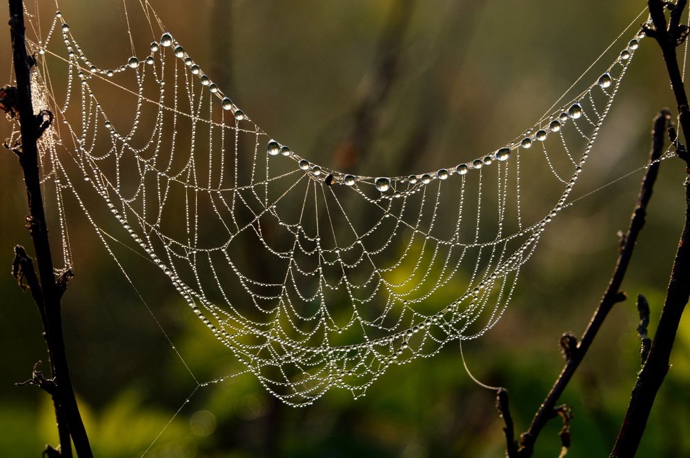 Хрустальные сети.