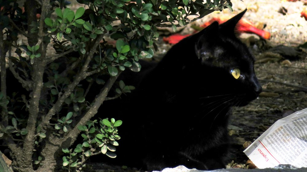 Photograph by Lia Pereira