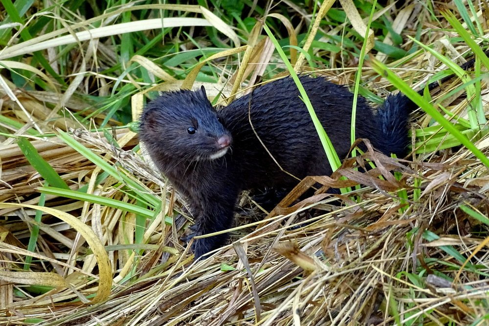 И что это Вы здесь делаете?