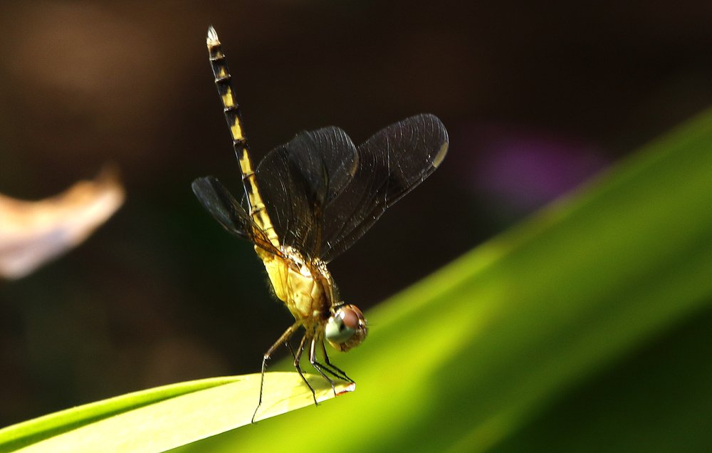 Фотография автора Oscar Sánchez
