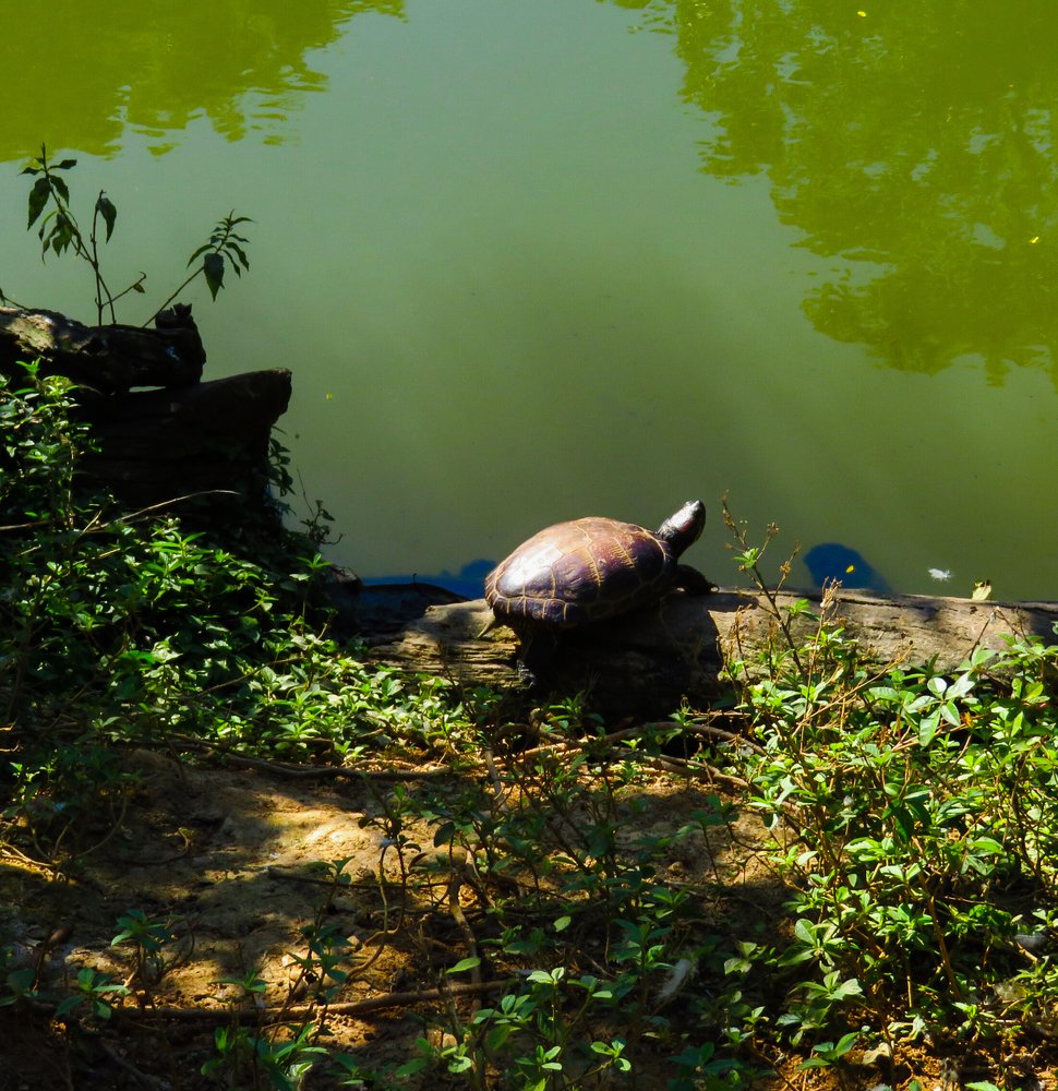 Photograph by Lia Pereira