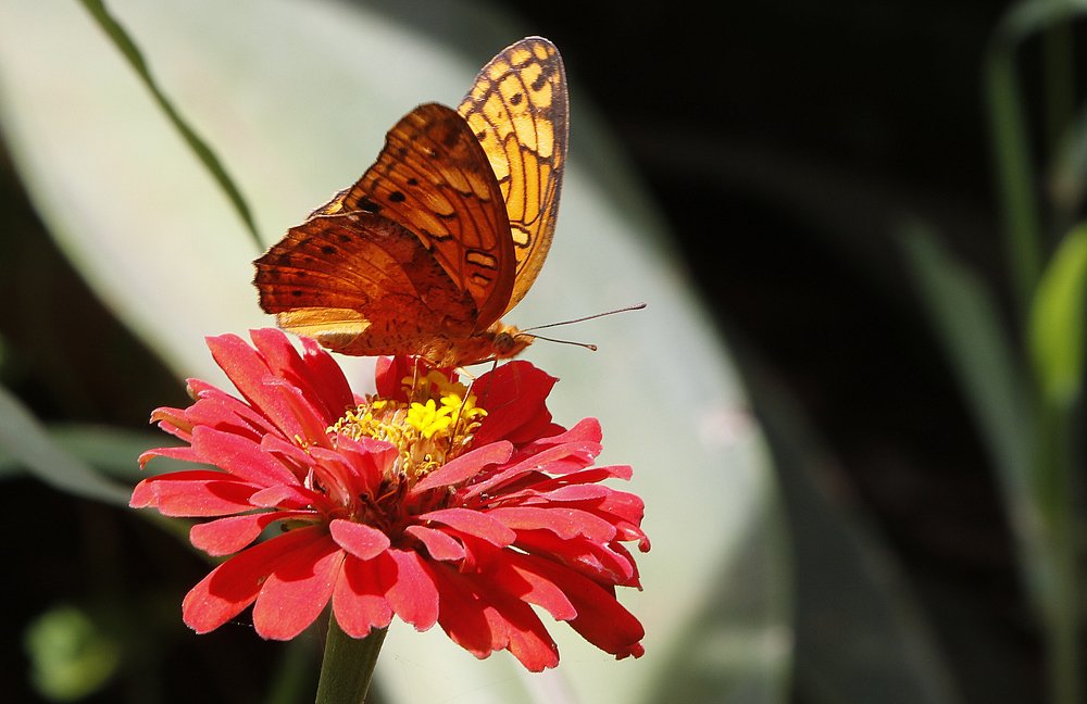 Фотография автора Oscar Sánchez