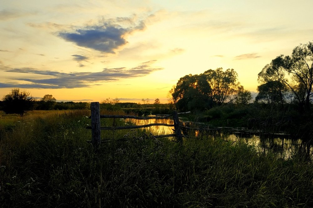 Золото заката.