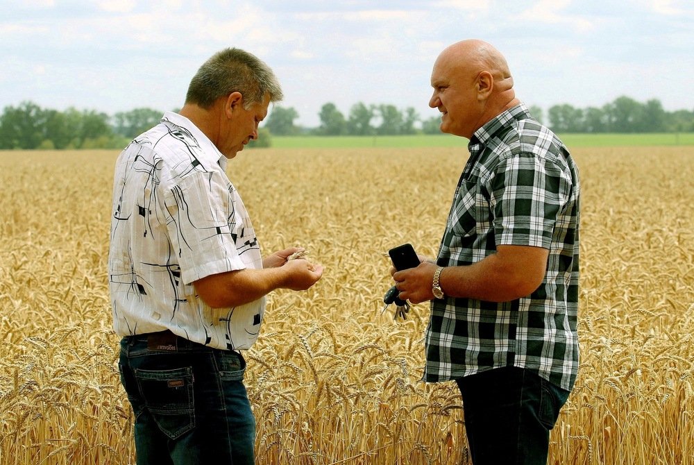 Хороший урожай