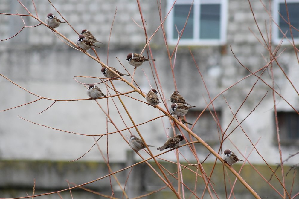 Photograph by Teodora Codreanu