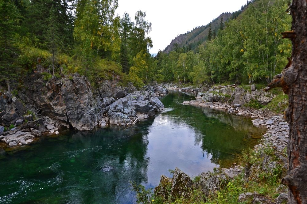 Девичьи плёсы на реке Кумир. Алтай.