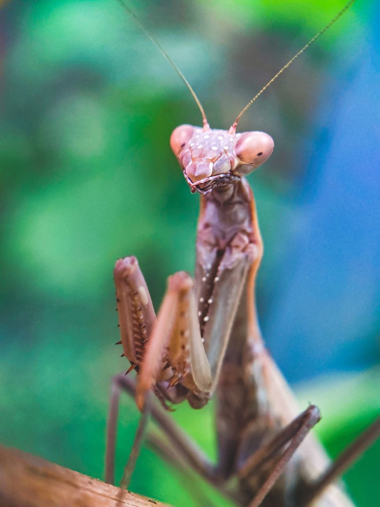 Photograph by Дмитрий Иванченко