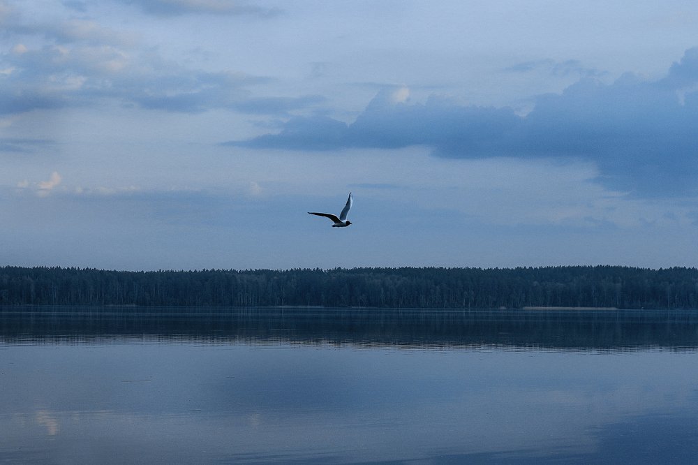 Photograph by Анастасия Мещерякова