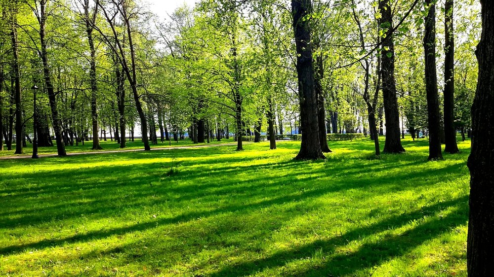 Photograph by Борис Каширин