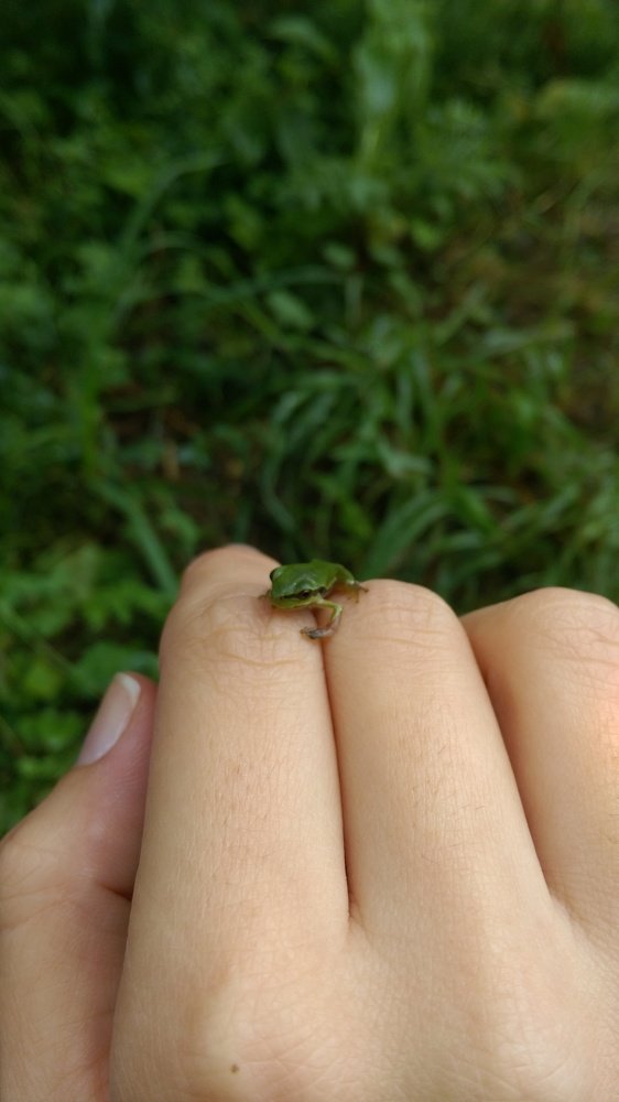 Photograph by Aytən Dadaşova