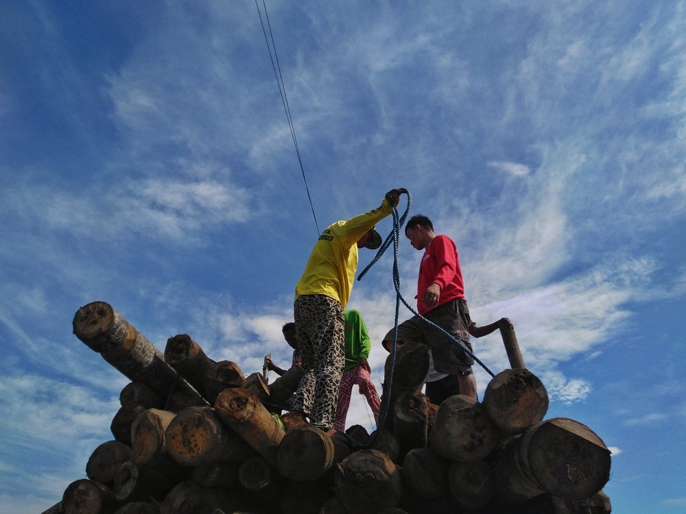 Log, log