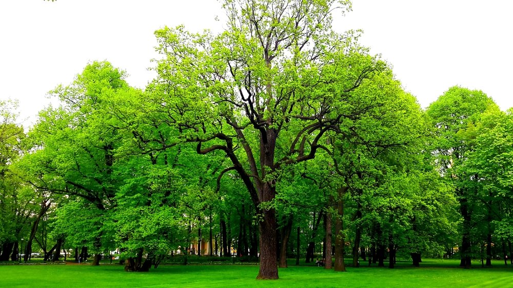 Photograph by Борис Каширин