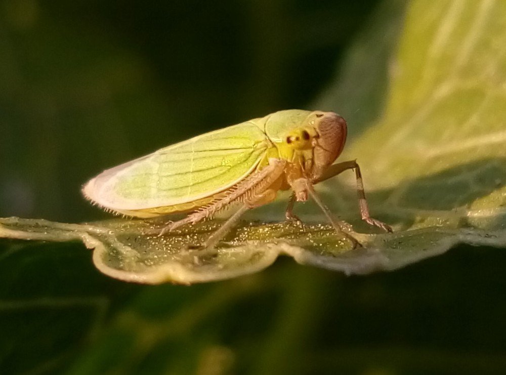 Photograph by Лілія Франовська