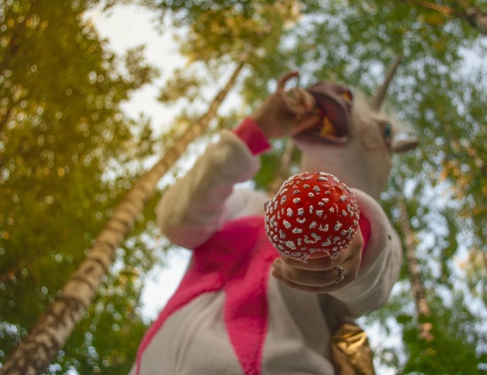 Photograph by Максим Белоус