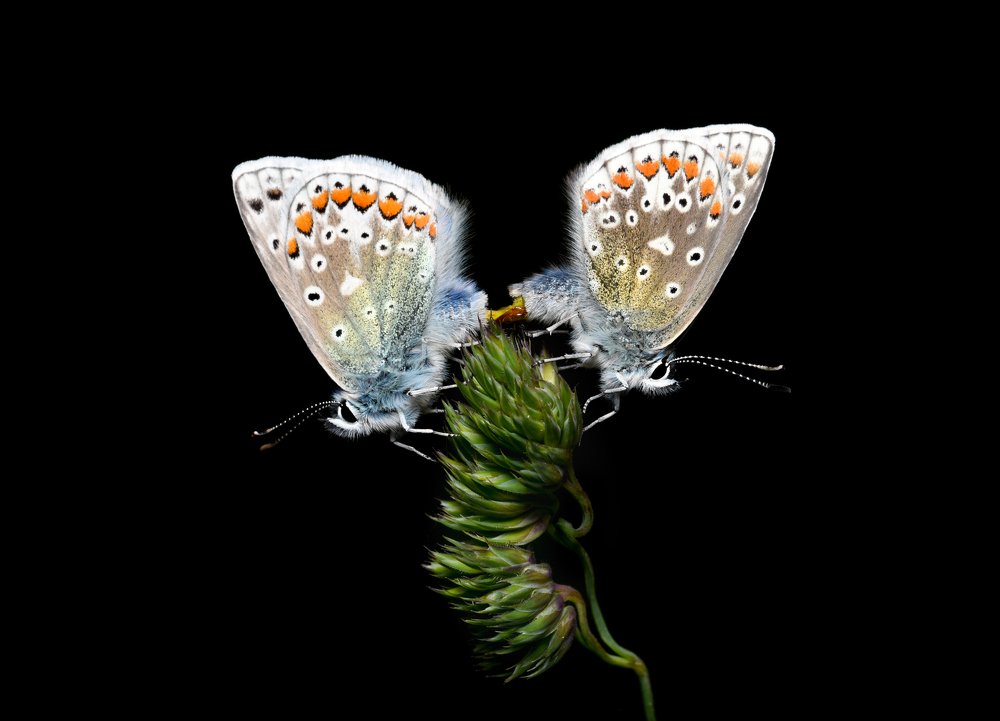 Photograph by Павел Войтукович