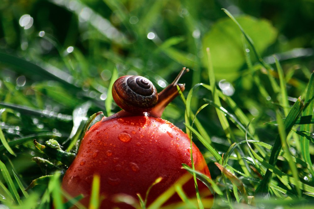 Photograph by Liguanna Anna