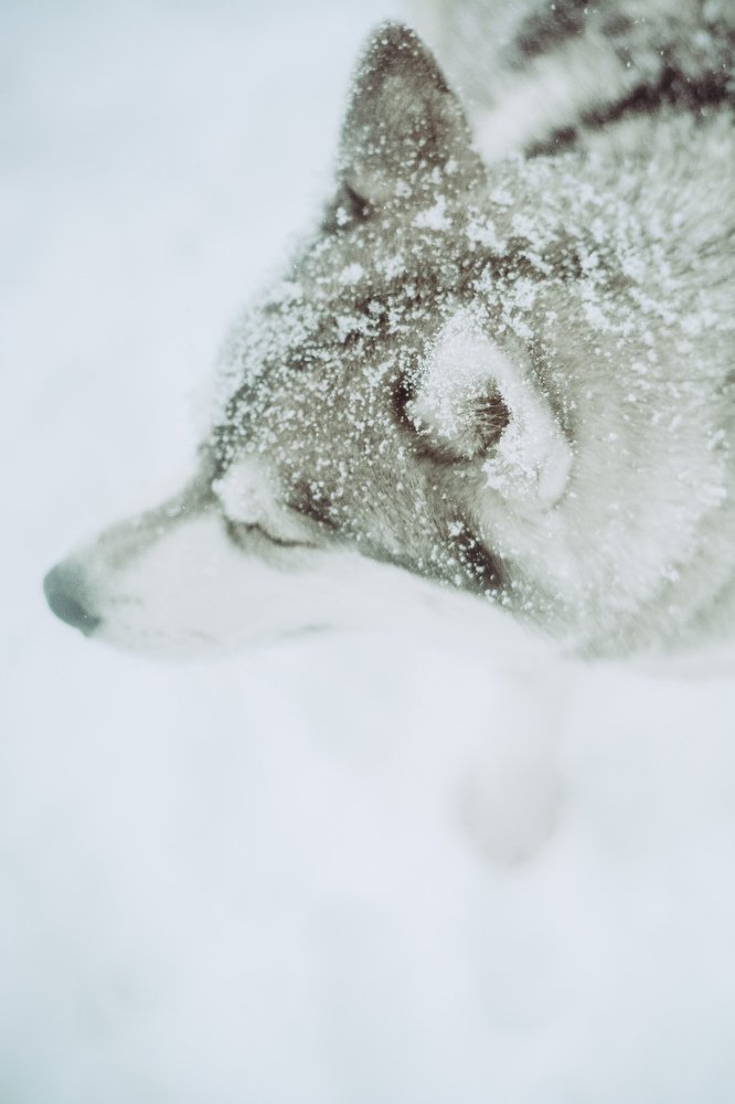 Photograph by Liguanna Anna