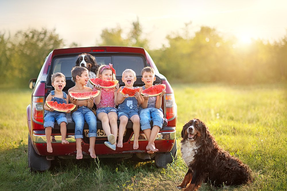 Photograph by Елизавета Скрипка